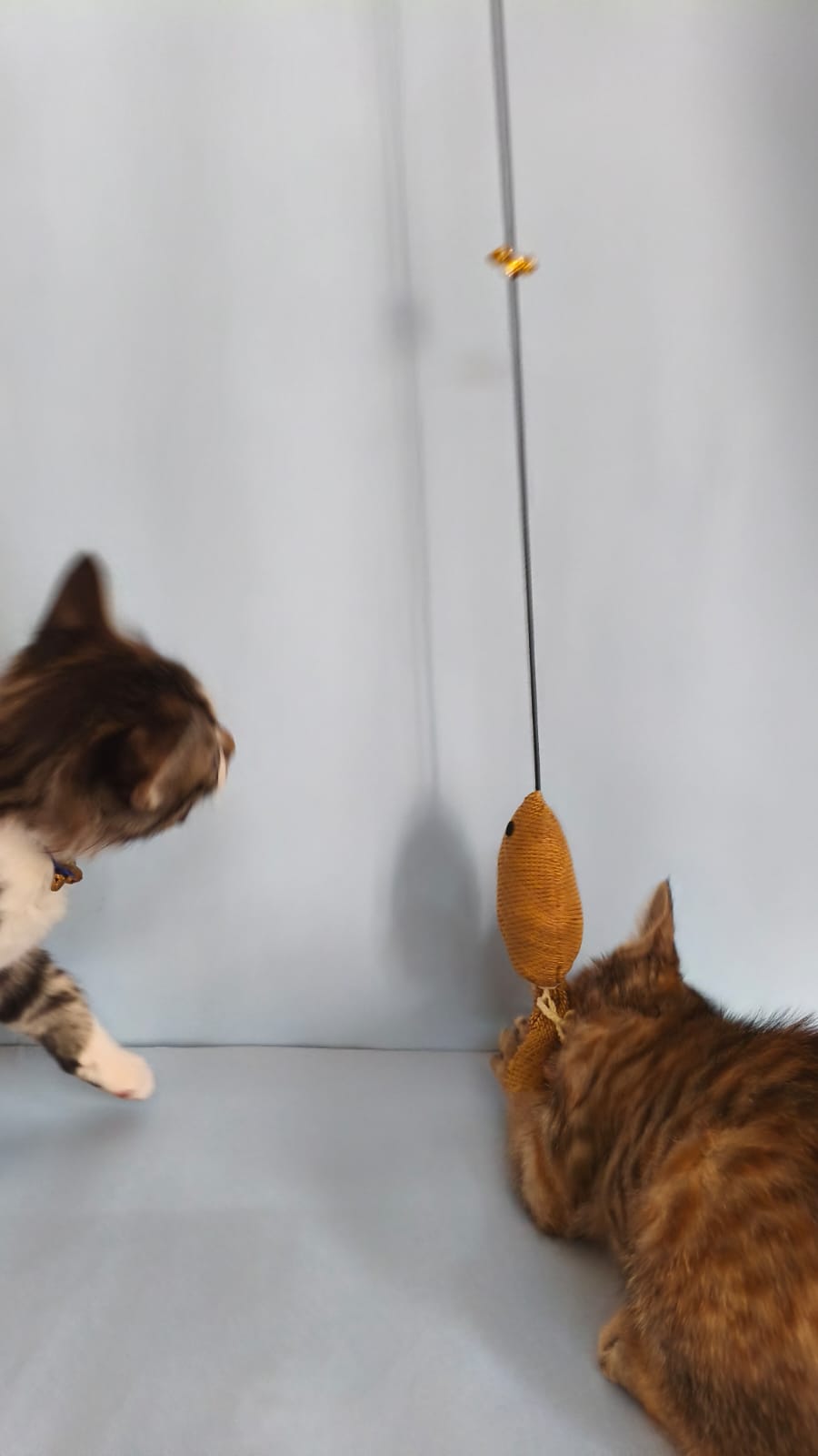 Handcrafted cat teaser wand