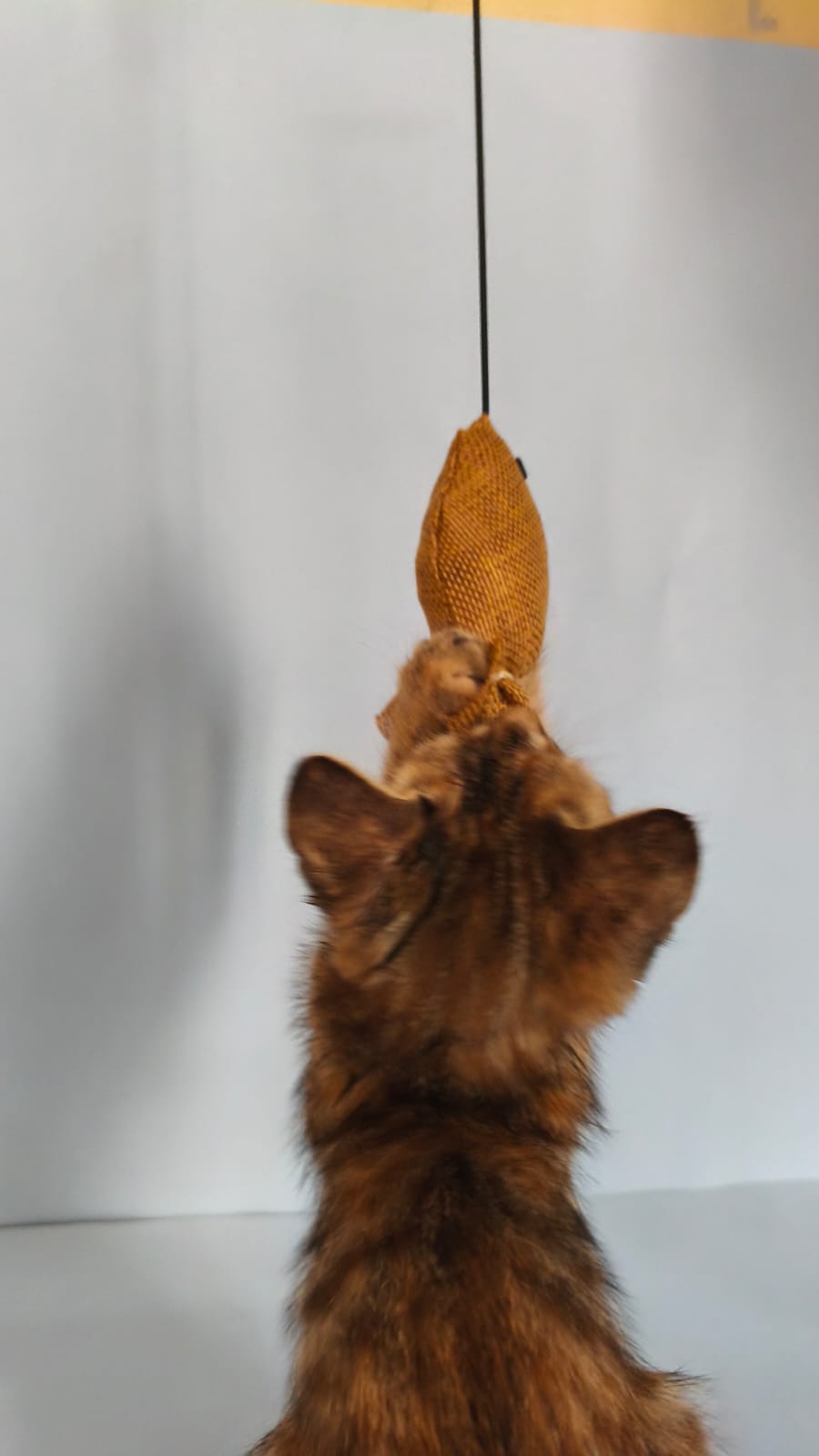 Handcrafted cat teaser wand