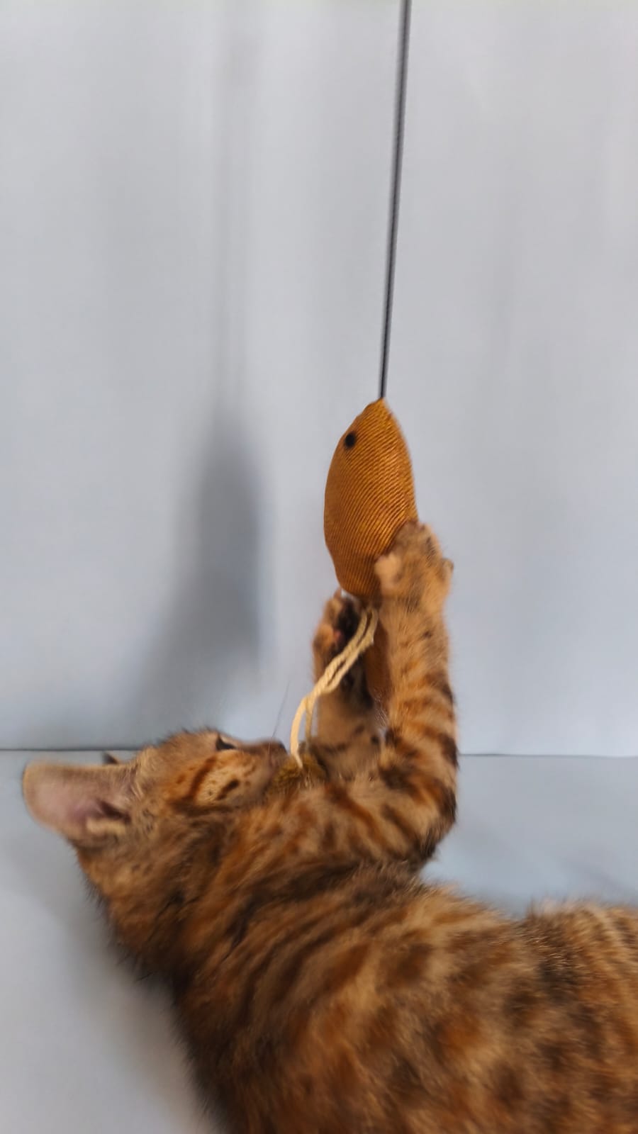 Handcrafted cat teaser wand