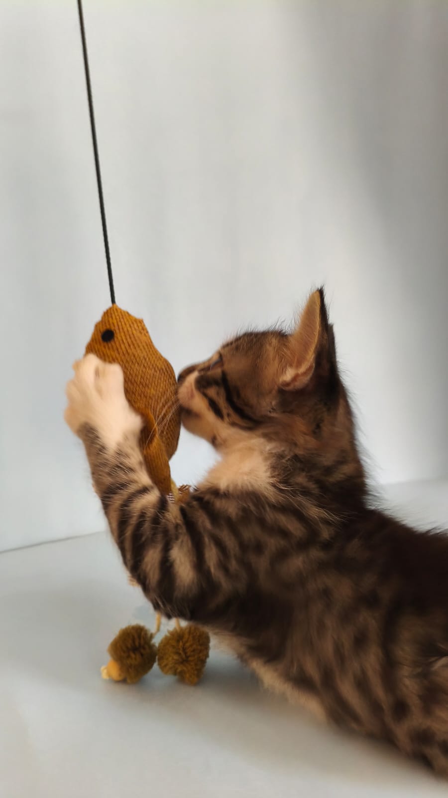 Handcrafted cat teaser wand